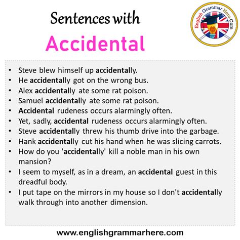 Sentences with Accidental, Accidental in a Sentence in English ...