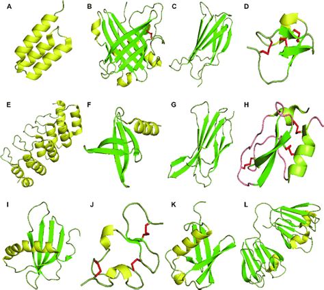 Structures of proteins scaffolds. Notes: cartoon-illustrations are ...