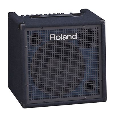 Roland Amplifier - Mufe Musicals