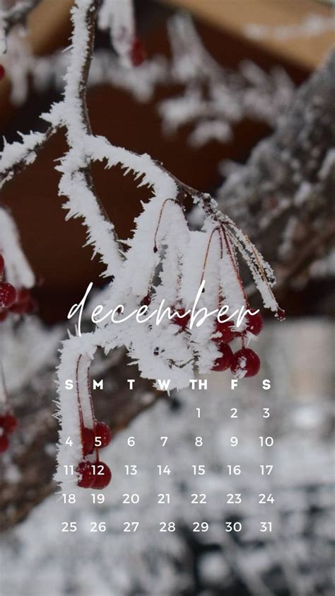 a calendar with the word december written on it and snow covered branches in the foreground