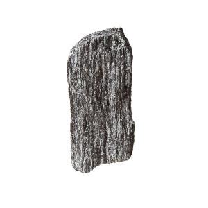 Ward's Science Essentials® Hornblende Schist | Ward's Science