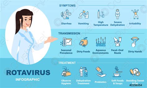 Rotavirus infection vector infographic template Stomach flu transmission, symptoms and - stock ...