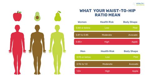 Waist Measurement Chart For Health