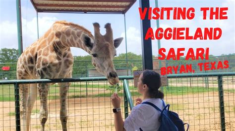 Aggieland Safari Adventure!- VLOG - YouTube