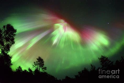 Aurora Borealis Over Finland Photograph by Pekka Parviainen/science ...