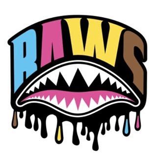 BAWS (Hat) – Levels Clothing Inc.