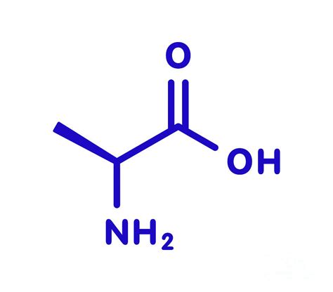 Alanine Amino Acid Molecule Photograph by Molekuul/science Photo ...