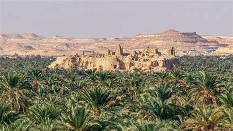 Siwa Oasis | Tips and areas to visit - Egipto.com