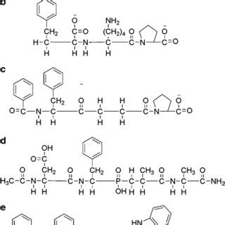 Structures of different angiotensin-converting enzyme (ACE) inhibitors ...