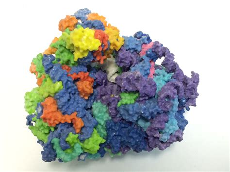 Human Ribosome - a photo on Flickriver