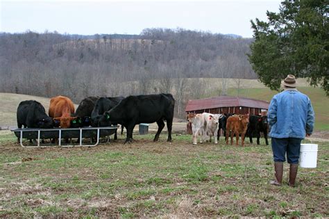 Farmwife at Midlife -: My Farmer, Outstanding in His Field (and out sitting, too)