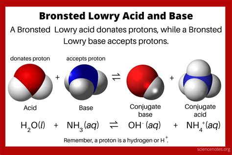 Bronsted Lowry Acid and Base Theory