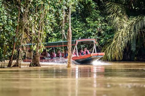 Indigenous Culture & Rainforest | Tulu Travel