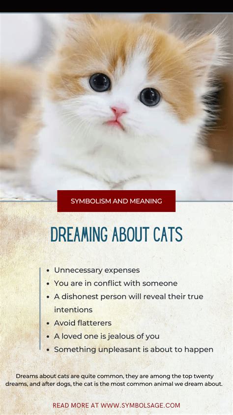 Dreaming About Cats – What Could It Mean? - Symbol Sage