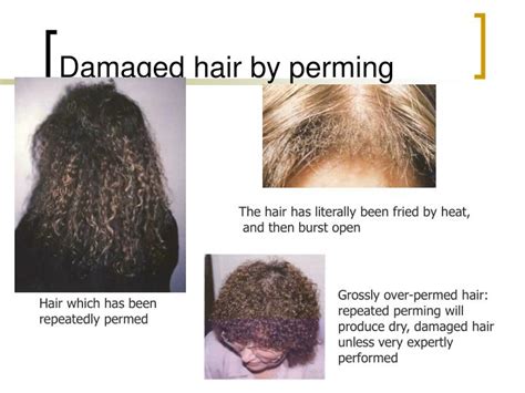 PPT - Perm & neutralising hair Unit 208 PowerPoint Presentation - ID ...