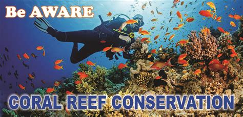 AWARE Coral Reef Conservation