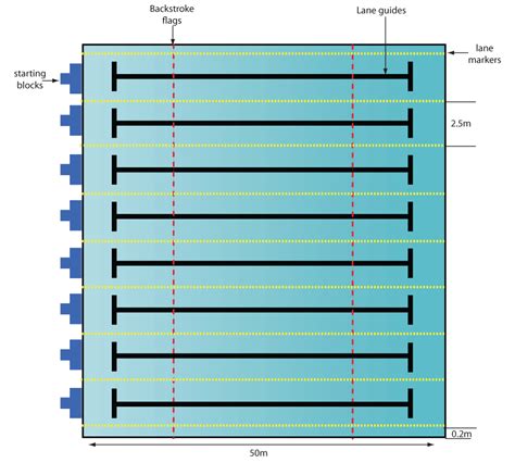 Pin by Dafini Karagyozova on home | Swimming pool size, Swimming pool plan, Swimming pool dimensions