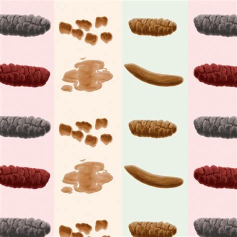 How your poo could reveal a lot about your health - Good Housekeeping