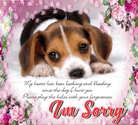 My Cute Apology Ecard! Free Sorry eCards, Greeting Cards | 123 Greetings