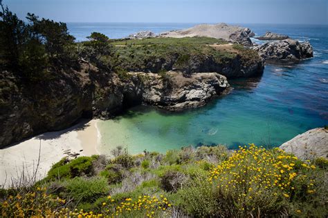 Point Lobos State Reserve - Best Photo Spots