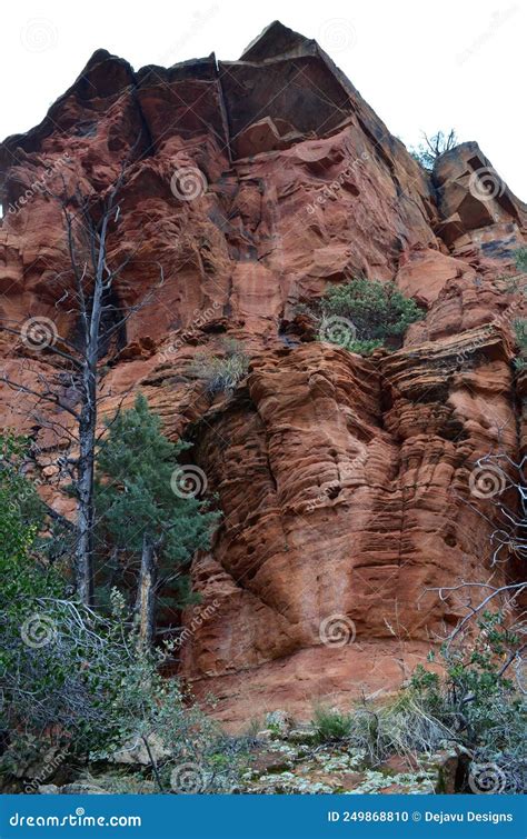 Geological Red Rock Formation with a Smattering of Tree Stock Photo ...