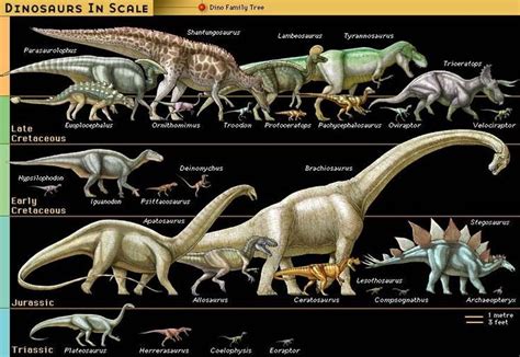 Dinosaur DECEPTION! Dinosaurs Never Existed! Dinosaur Fossils Are A Hoax - Dinosaurs: Science Or ...