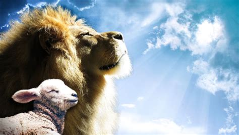 lion, lamb, sky, jesus, god, holy, spirit, bible, gospel, christ | Pxfuel