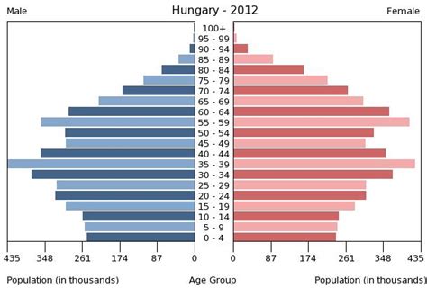 Population Demographics: Hungary - 1156 Words | Essay Example