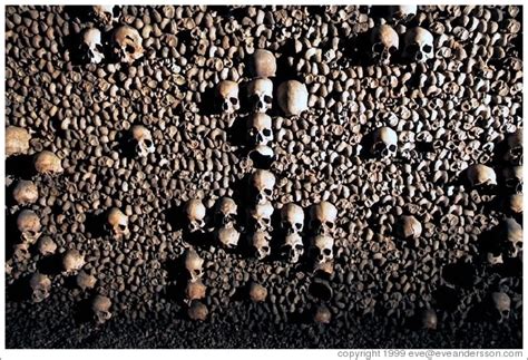 Skulls in the shape of a cross, Paris catacombs. (Photo ID 9463-paris)