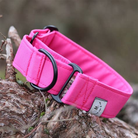 Waterproof Martingale Dog Collar By Me & The Bear | notonthehighstreet.com