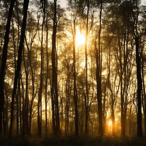 Premium AI Image | sunrise in the forest sunrise in forest with tree ...