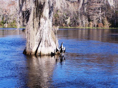 Wakulla Springs, Crawfordville location de vacances: maisons de vacances etc. | Abritel