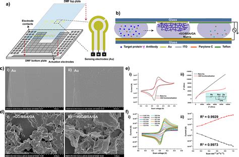 Electrochemical biosensor - Yuqian Zhang/张玉倩