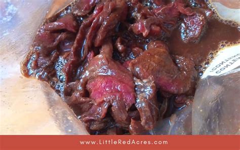 Deer Jerky Recipe in A Dehydrator