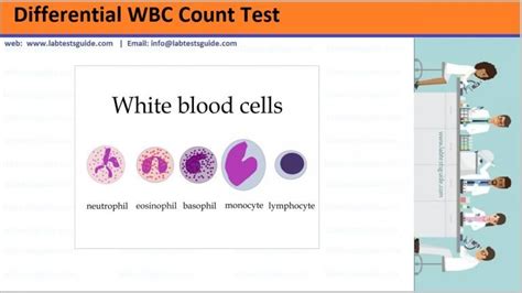 Differential White Blood Cells Count - Lab Tests Guide