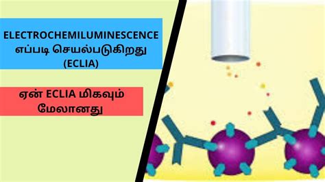 ELECTROCHEMILUMINESCENCE எப்படி செயல்படுகிறது. ECLIA Principle. Hormone Test. - YouTube