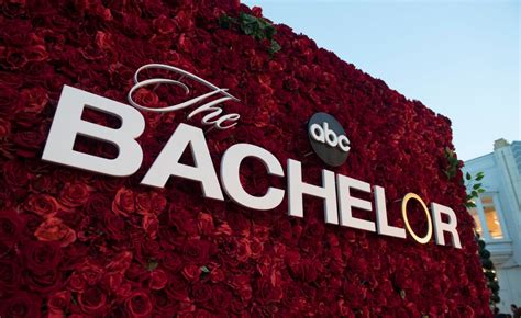 The Bachelor Inspired Memes That Were Better Than The Finale | TIME