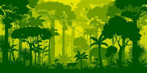 Jungle forest silhouette, rainforest background 24082057 Vector Art at ...