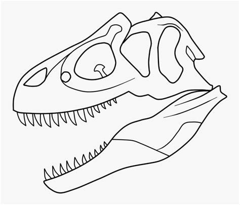 T Rex Skeleton Coloring Pages - Sketch, HD Png Download , Transparent Png Image - PNGitem