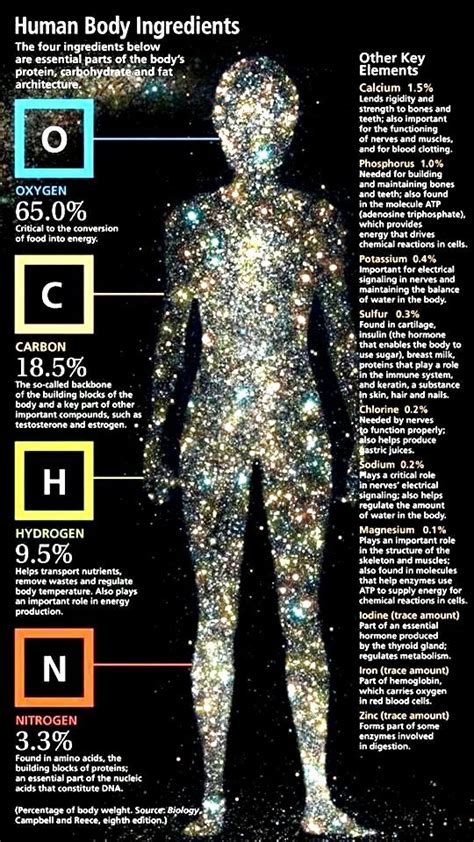 Human Body Elements. #humanbody #bodyelements #bodycomposition | Human body, Life science, Chemistry