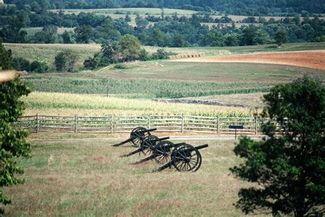 bloody-lane-at-antietam - Battle of Antietam Pictures - Civil War - HISTORY.com