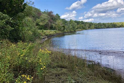 Pine Barrens | NJ Scenic Byways