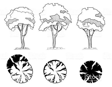 Trees for a landscape design. Different hand drawn trees isolated on... | Landscape architecture ...