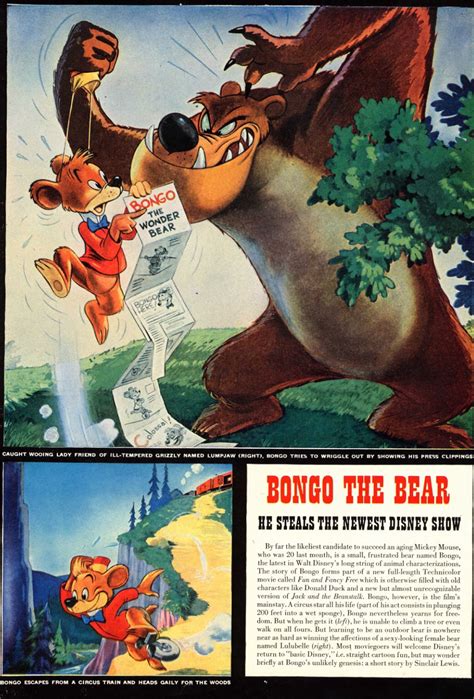 Bongo The Bear