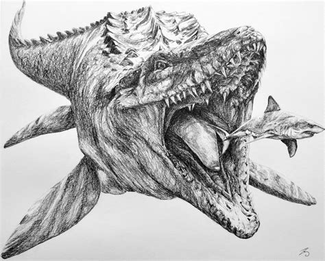 Mosasaurus by Zaza-Art on DeviantArt