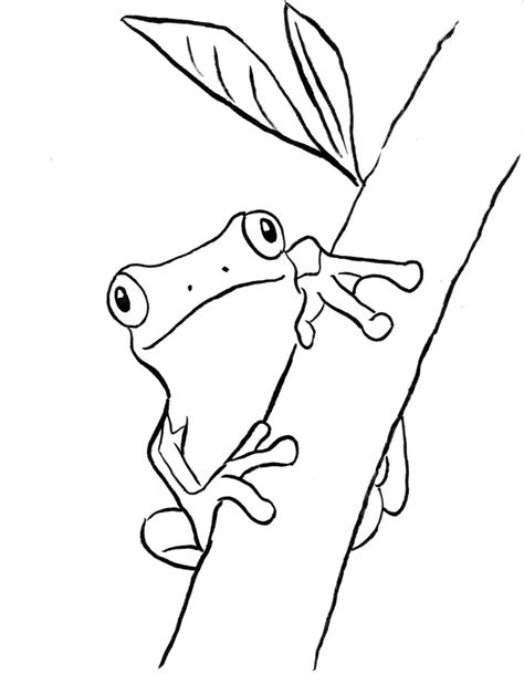 Green Tree Frog Drawing at PaintingValley.com | Explore collection of ...