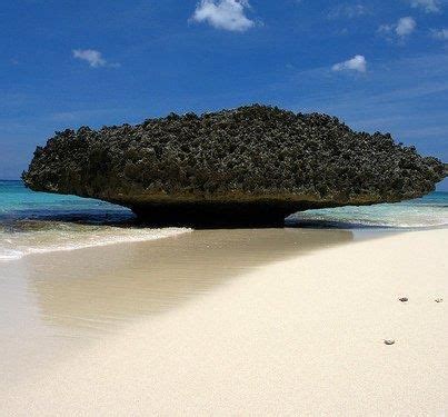 Playa Sardinera, Isla de Mona - Puerto Rico | Puerto rico trip, Puerto ...