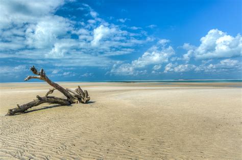 15 Beautiful Beaches In Mozambique To Bliss Out On | AFKTravel