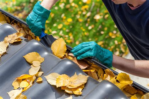 Gutter Cleaning Tips Every Homeowner Should Know