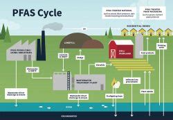 What are PFAS compounds and how can we test for them?